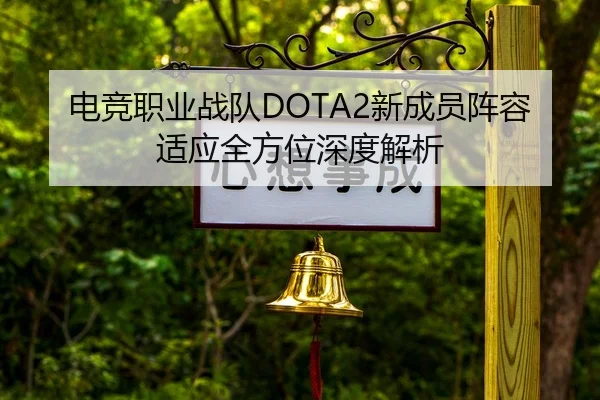 电竞职业战队DOTA2新成员阵容适应全方位深度解析